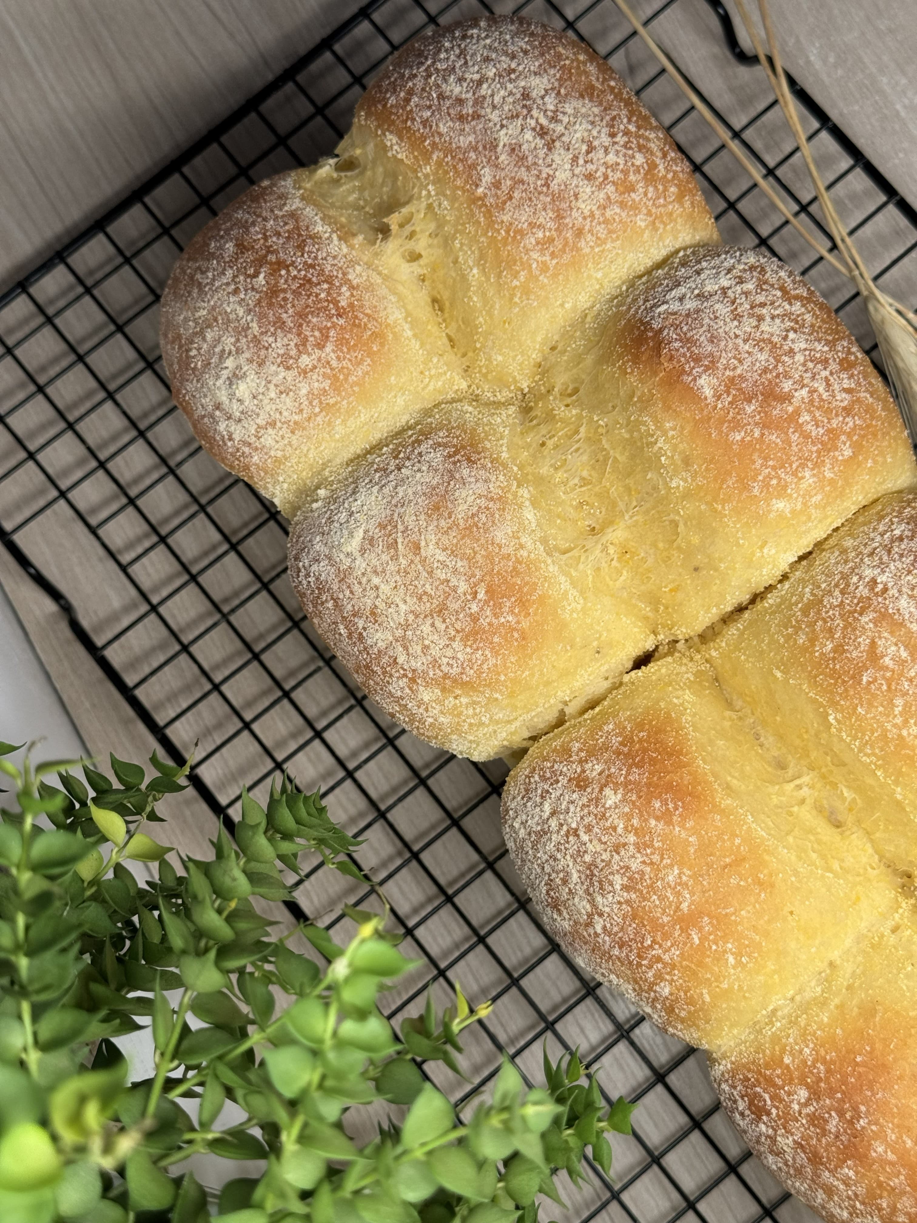 Brioche de Milho